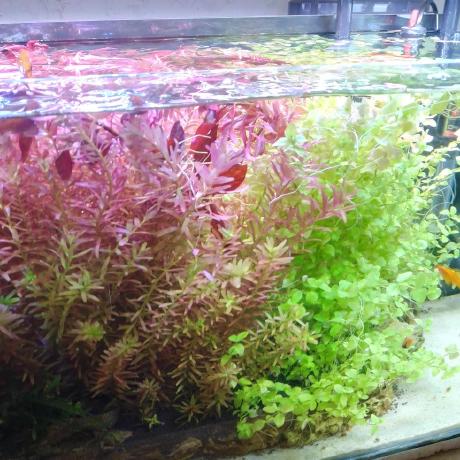 Github Gabexv Rios Rojas - Mountain Photos - Incredible Desktop Collection