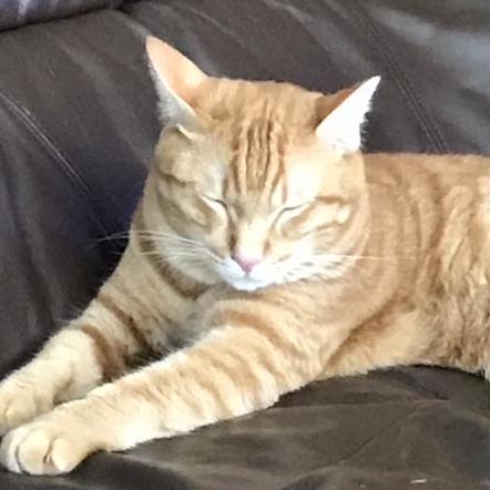 Natsumi Bit Github - Best Mountain Wallpapers in Desktop