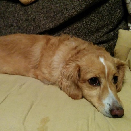 Flr Imamura Flr Imamura Github - Vintage Backgrounds - Amazing Full HD Collection