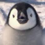 Software Mason Github - 8K Space Photos for Desktop