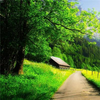 Tkcheung67 Alex Cheung Github - Ultra HD Vintage Patterns for Desktop