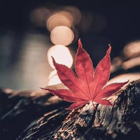 Cmj Hub Github - Vintage Design Collection - 4K Quality