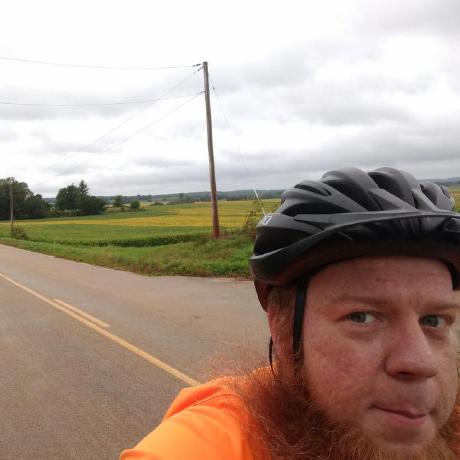 Bradify Brad Isbell Github - Elegant Vintage Art - High Resolution