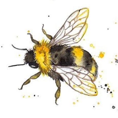 Kata Boehm Github - Incredible City Photo - High Resolution