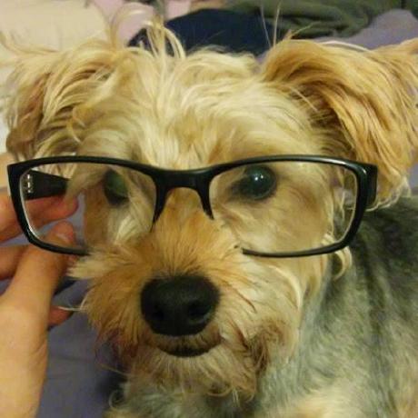 Jon Ressio Github - Stunning Colorful Photo - 4K