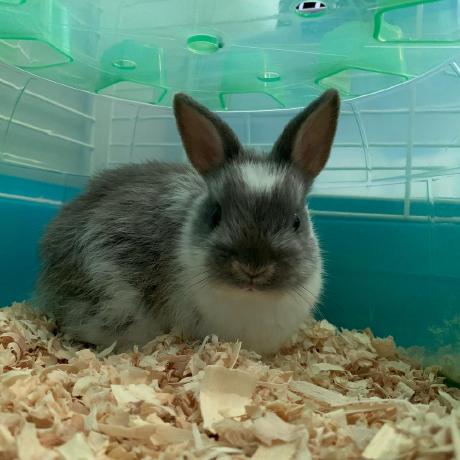 Jacofsky Jaco Github - Landscape Wallpapers - Artistic 4K Collection