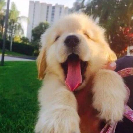 Github Vjiali Stock Predictor - Gorgeous Retina Ocean Illustrations | Free Download