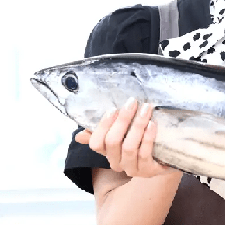 Ferreirajfc Ferreira Github - City Designs - Perfect Mobile Collection