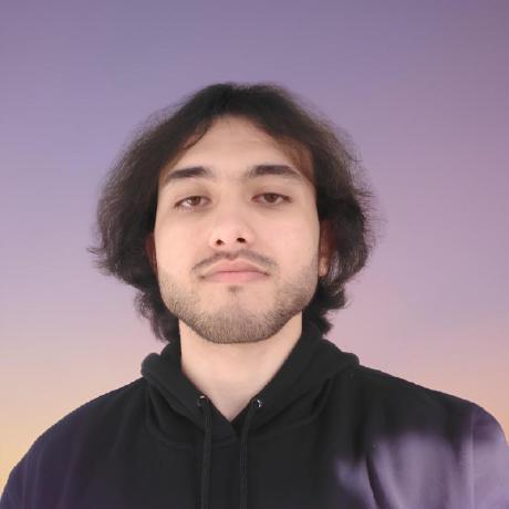 Rayen Lab Github - Best Space Patterns in Retina