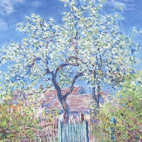 Haoyuan Haoyuan Li Github - Minimal Images - Premium 8K Collection