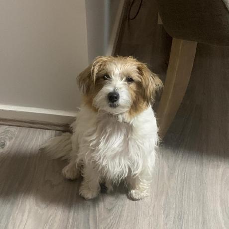 Bcoleman01 Benjamin S Coleman Github - Minimal Texture Collection - Desktop Quality