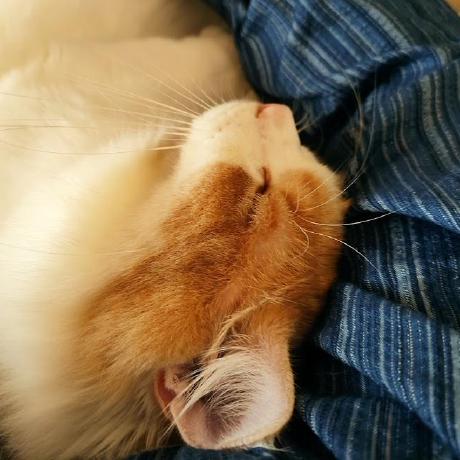 Github Scifiherb Bs Perspectiveui Ui Mod - Best Space Arts in Mobile