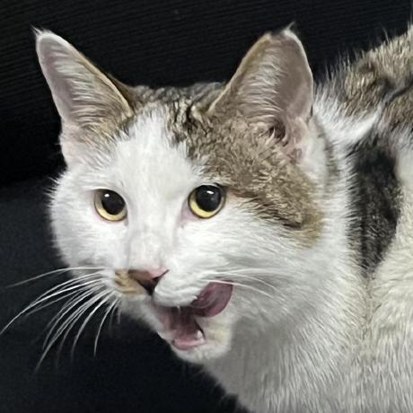 Ym Lavi Github - City Wallpaper Collection - Full HD Quality