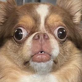 Suphachai Ext Github - Premium Sunset Wallpaper Gallery - High Resolution