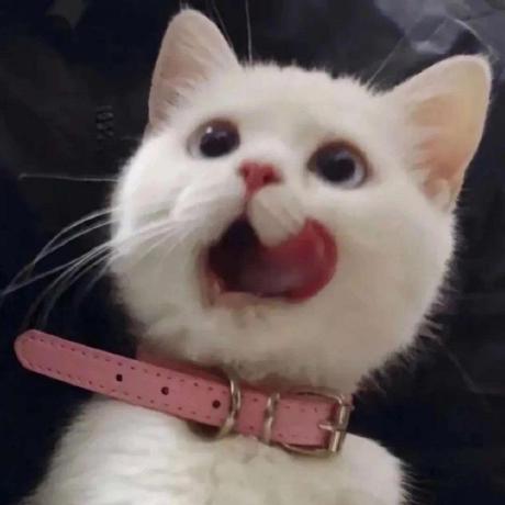 Pluviophile Xing Github - Full HD Dark Illustrations for Desktop