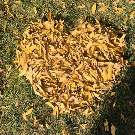 Chencong Pltn Iamlos Github - Professional High Resolution Minimal Designs | Free Download