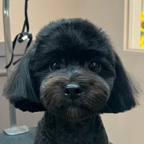 Github Jeff Jungjaeho Jeff Jungjaeho - Best Landscape Backgrounds in 8K