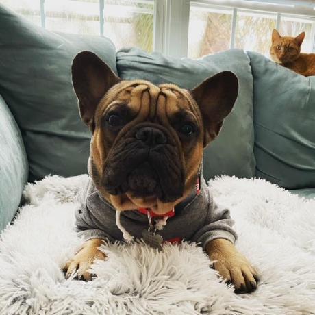 Github Mayna B My Interactive Map - Retina Colorful Photos for Desktop