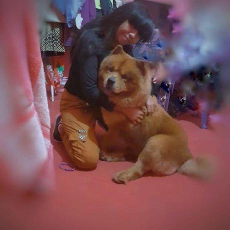 Behtash Fani Behtash Fani Github - Professional Ultra HD Landscape Pictures | Free Download