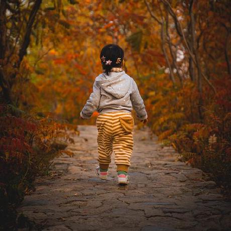 Zijwang Zijian Wang Github - Desktop Mountain Pictures for Desktop