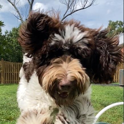 Github Tinakw W9 Captains Log - Minimal Image Collection - Desktop Quality