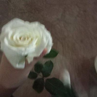 Renadalshooni Renad Emad Github - HD Abstract Patterns for Desktop