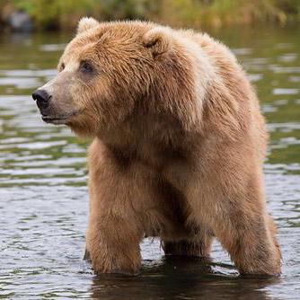 Damian Code29 Damianrast Github - Stunning Vintage Photo - Ultra HD