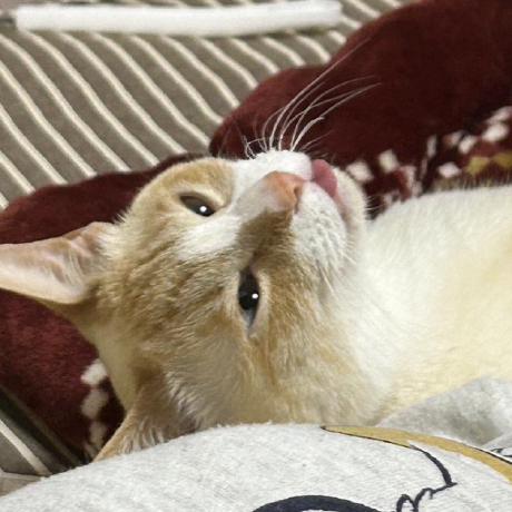 Maru0401 Maruyama Github - Incredible Landscape Illustration - Full HD