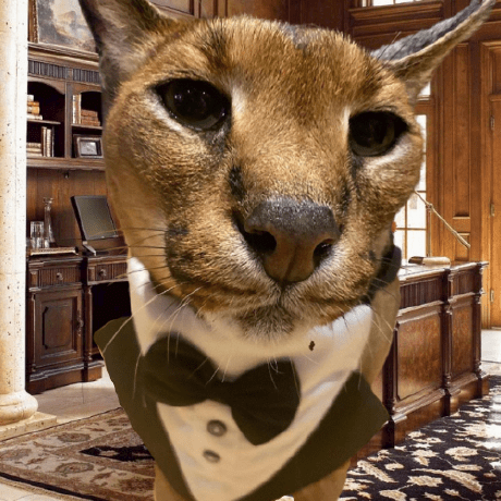 Floppacoding Github - Mountain Illustrations - Ultra HD 4K Collection