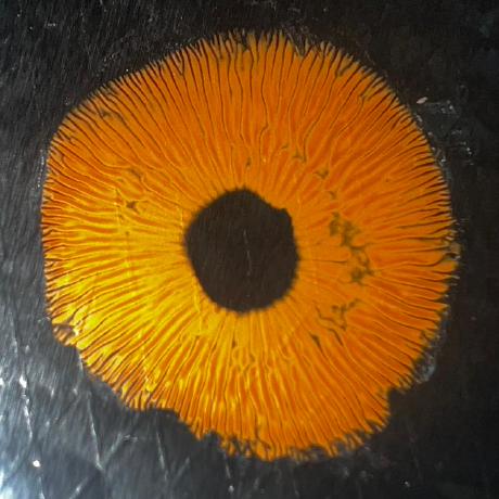 Nathan Black Nathan Black Github - Best Nature Photos in Desktop