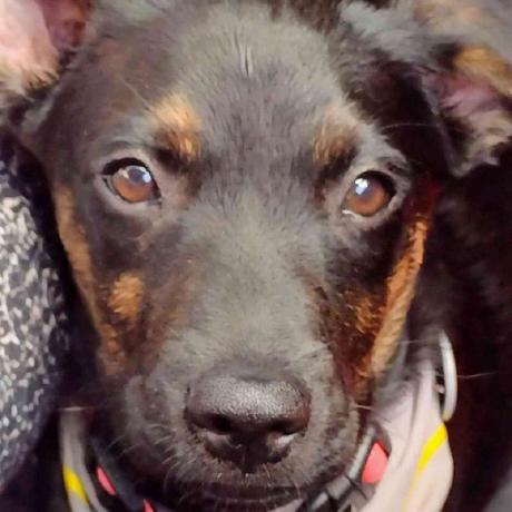 Paola Torres 1109 Github - High Quality Ocean Photo - 8K