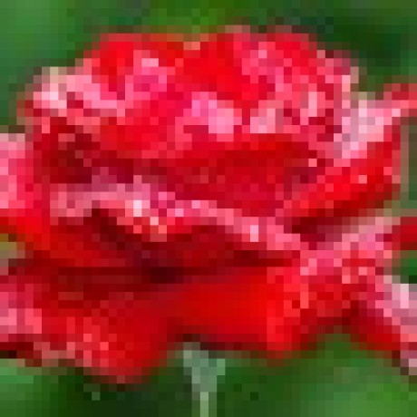 Github Celery1124 Celery1124 Github Io Mian S Blog - Best Geometric Images in HD