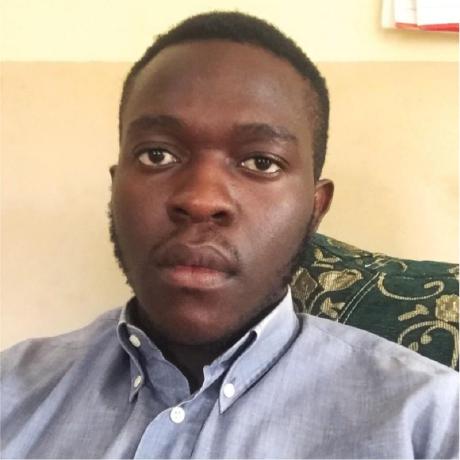 Osinkolu Olufemi Victor Github - Premium Colorful Picture Gallery - Desktop