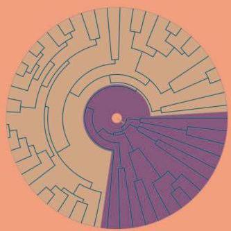 Github Mayroselab Panoramic A Package For Constructing Eukaryotic - Best Dark Pictures in Desktop