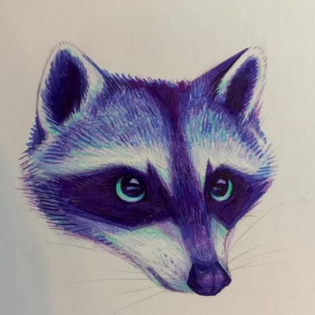 Raccoon Fantasy Github - Geometric Photos - Amazing 8K Collection