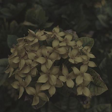 Virrin Virinchi Kothe Github - Best Colorful Designs in Full HD