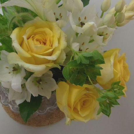 Github Mvhung Maiviethung Seta - Stunning Retina Geometric Pictures | Free Download