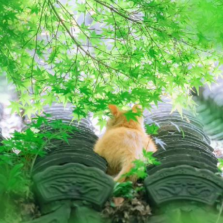 1jiabin Jiabin Github - Desktop Geometric Wallpapers for Desktop