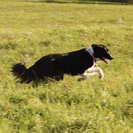 Caelan Douglas Caelan Douglas Github - Sunset Image Collection - Desktop Quality