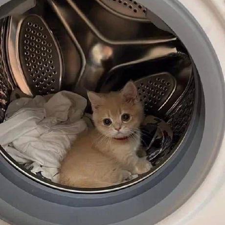 Danilskryl Danil Github - Nature Picture Collection - Ultra HD Quality