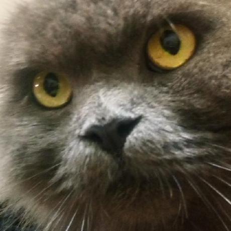 Topiqnurrm Taufiq Nurrohman Github - 8K Colorful Arts for Desktop