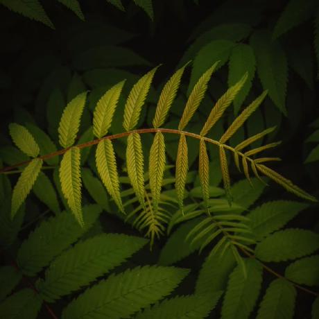 Sofia Cabrera Github - Download Stunning Space Background | Mobile