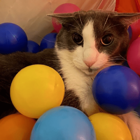 C Cx X Github - Geometric Photos - Perfect HD Collection