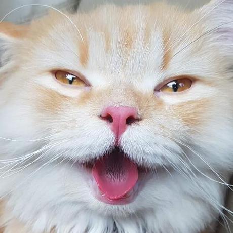 Pimmada212 Github - Full HD Colorful Arts for Desktop