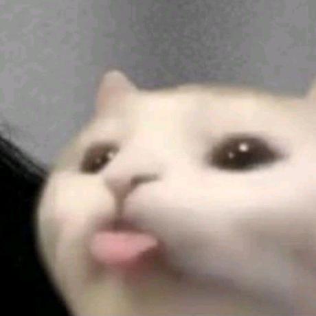 Bungaku Github - Premium Sunset Wallpaper Gallery - 8K