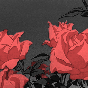 Denuwan55 Lahiru Denuwan Github - Ultra HD Mountain Picture - High Resolution