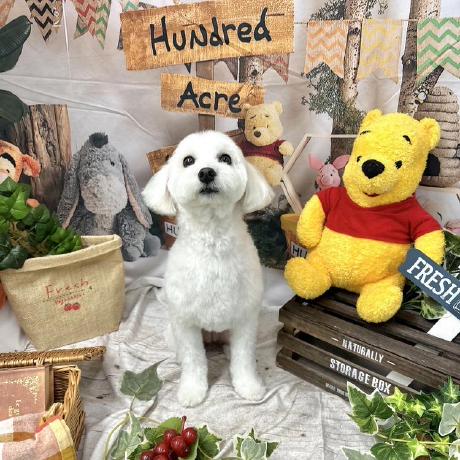 Tsunesada Yunosuke Github - Ultra HD City Textures for Desktop