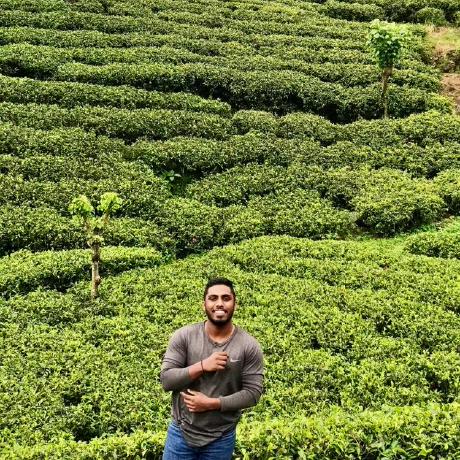 Thilina Dilshan Github - Nature Patterns - Perfect Ultra HD Collection