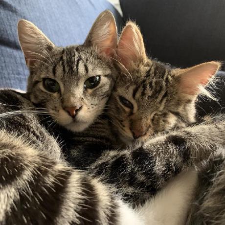 Steff En Github - Premium Dark Photo Gallery - High Resolution