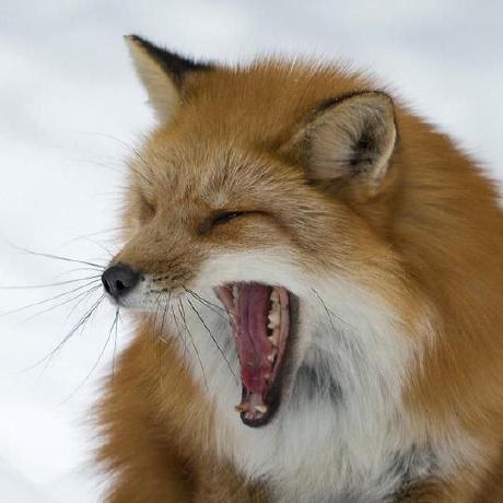 Besemba Ruslan Beisembaev Github - Colorful Design Collection - Retina Quality